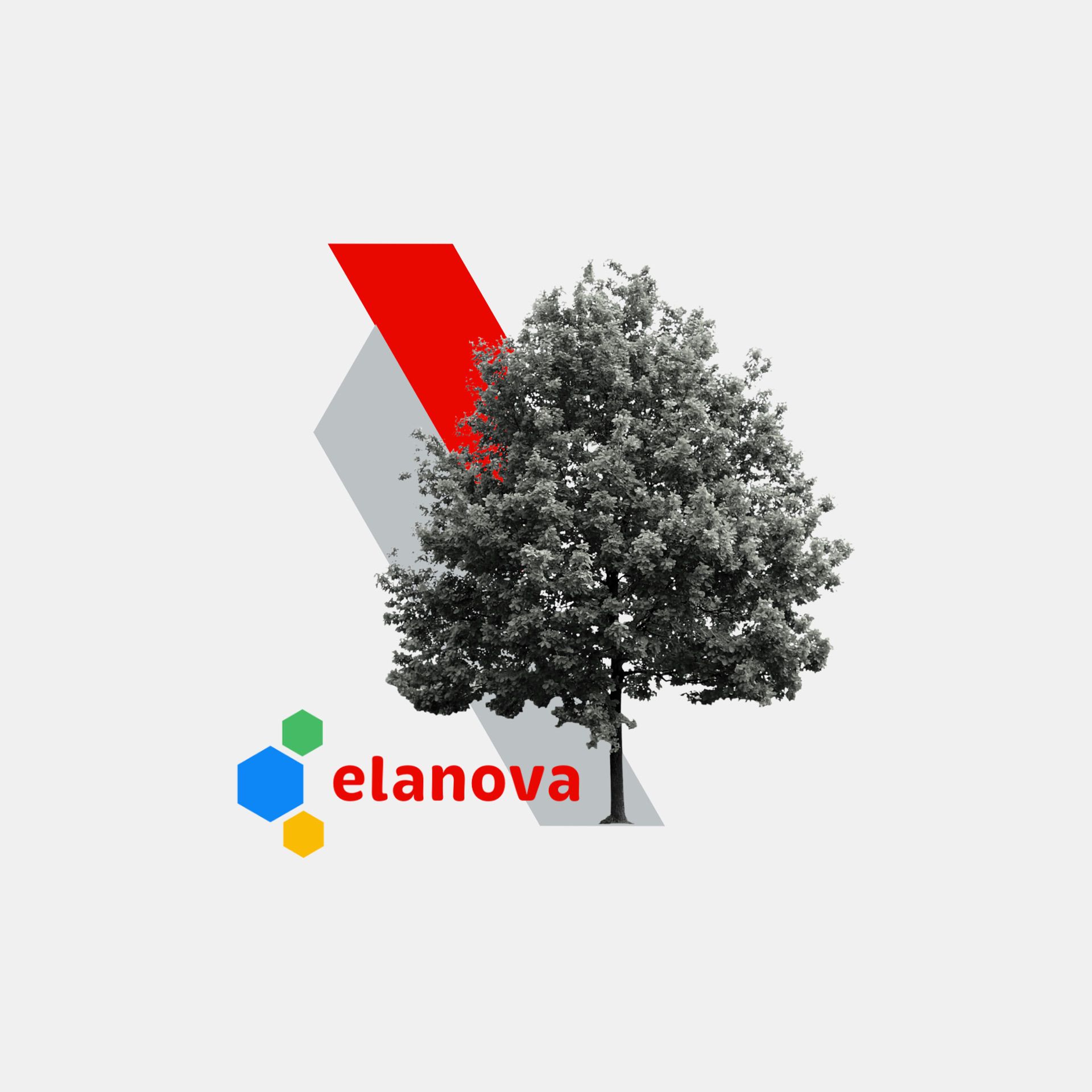 Agence marque employeur projet Elanova02